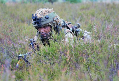 Multinational Forces Clash At Culminating Saber Strike 15 Ftx Article