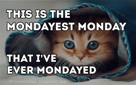 Read These Monday Morning Quotes To Get More Happy With Some Funny And