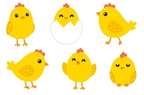 Baby Chicken Png Image With Transparent Background Png Arts