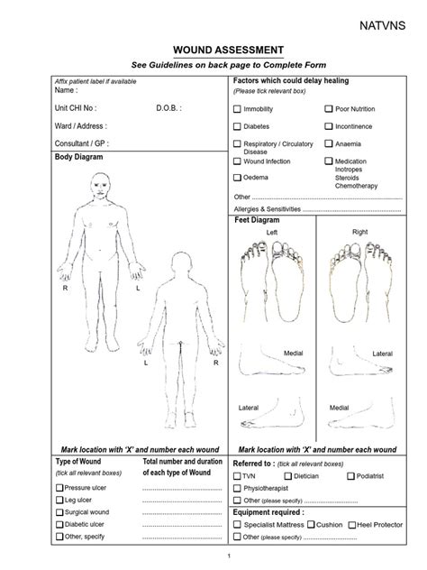 Wound Assessment Chart Pdf Wound Allergy