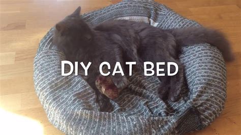 Diy Cat Bed Youtube
