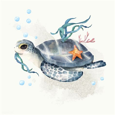 Illustration Of Turtle Premium Image By Sea Turtle