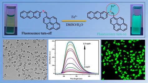 Simple Fluorescence Sensing Approach For Selective Detection Of Fe3
