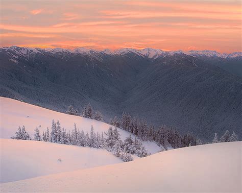 Olympic National Park Hurricane Ridge Sunset This Was An Flickr