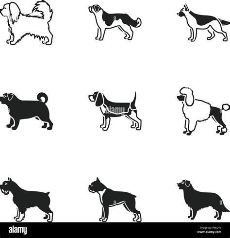 Dog Breeds Set Icons In Black Style Big Collection Of Dog Breeds