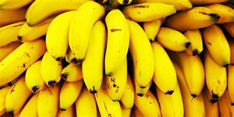 You Can Grow Bananas In Your Own Kitchen