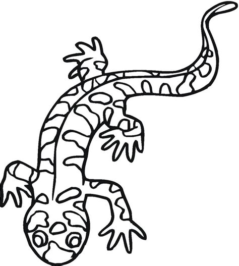 Tiger Salamander Coloring Pages Coloring Cool