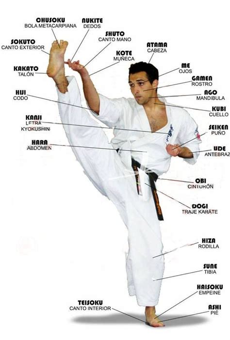 Sanchin kata is one of the most important katas in karate. Pin on Karate martial arts