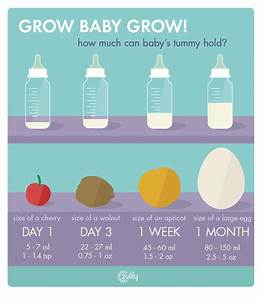 Bottles Up Newborn Feeding Baby Stomach Size Newborn Feeding Amount
