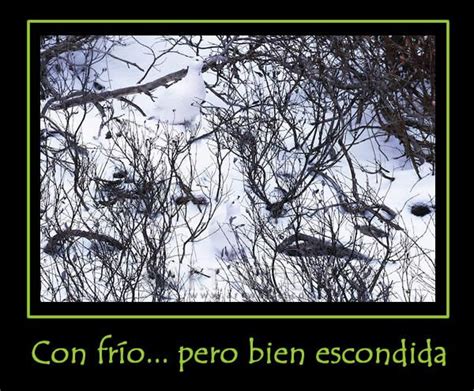¡nunca ha sido tan divertido elevar tu ci! Pin en El Club del Ingenio. Juegos de ingenio e Inteligencia