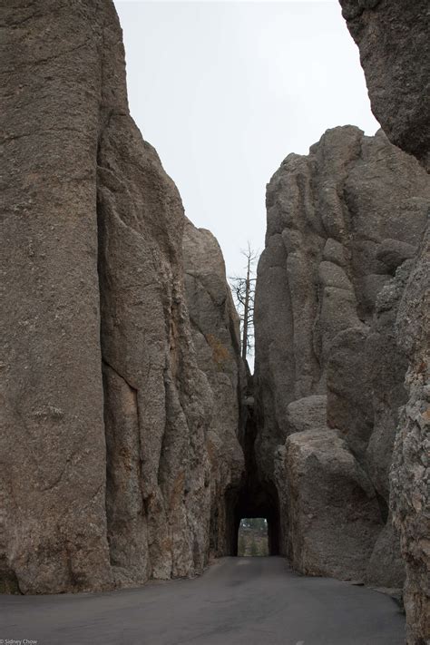 Wind Cave National Park Why Isnt It Black Hills National Park