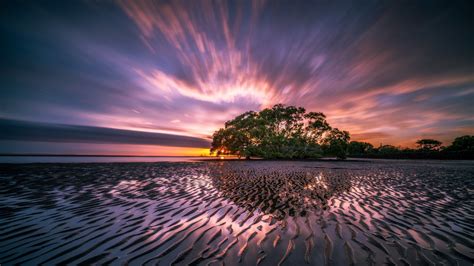 Nature Landscape Trees Sunset Clouds Long Exposure Coast Sea