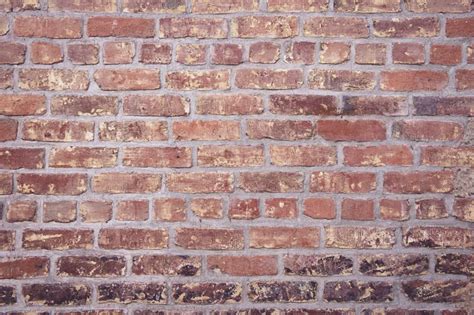 500 Brick Wall Pictures And Images Hd Download Free Photos On