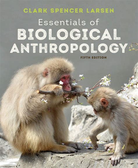 Essentials Of Biological Anthropology By Clark Spencer Larsen Goodreads