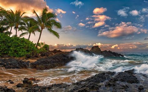 Surf In Hawaii Desktop Wallpapers 1680x1050
