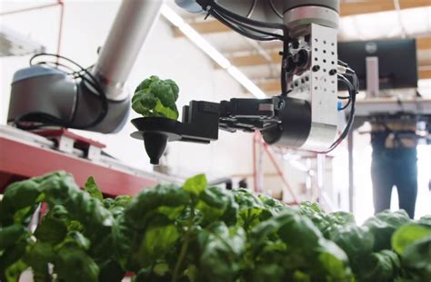 Robotics Hit Us Indoor Farming And Hydroponics Garden Culture Magazine