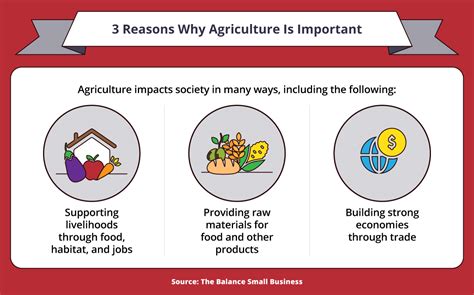 Why Is Agriculture Important Benefits And Its Role Maryville Online
