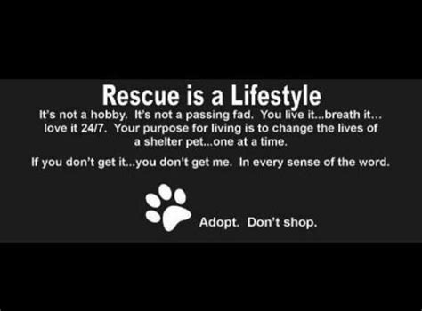 Animal Rescue Quotes Animal Quotes Animal Adoption Pet Adoption