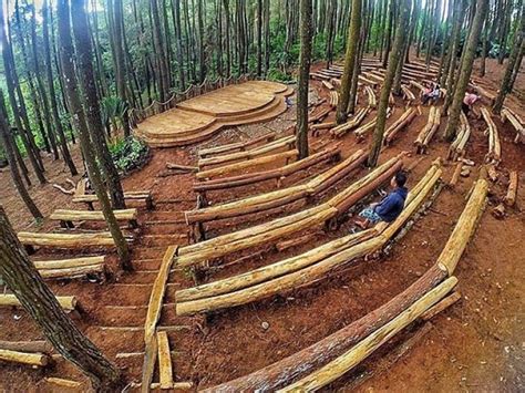 Lokasi Dan Rute Menuju Hutan Pinus Pengger Jogja Serunya Ngadem