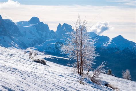 意大利多洛米蒂山滑雪区阳光明媚的冬季景观alpelusiamoena附近valdifassa高清图片下载 正版图片506429121 摄图网