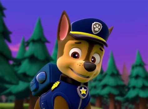 Chasegallerypups Save The Camping Trip Paw Patrol Wiki Fandom