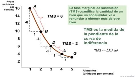 Las Curvas De Indiferencia Y Su Tasa Marginal De Sustituci N Tms