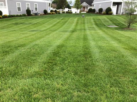 Click here to check amazing du vall lawn care content. Services - Classic Lawn Care Inc