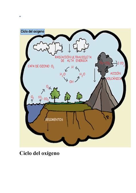 Calaméo Ciclo Del Oxígeno Y Atmosfera