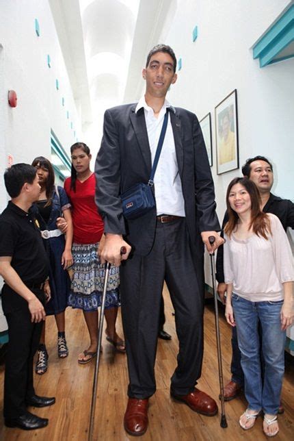 Who Is The Tallest Person In The World Lets Find Out