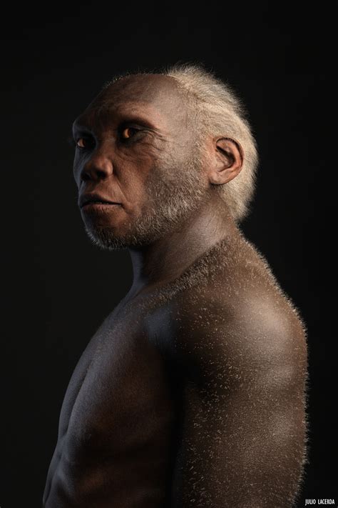Homo Habilis Prehistoric Wiki Fandom