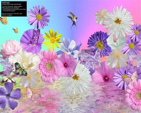 Animated Flowers And Butterflies Display On Your