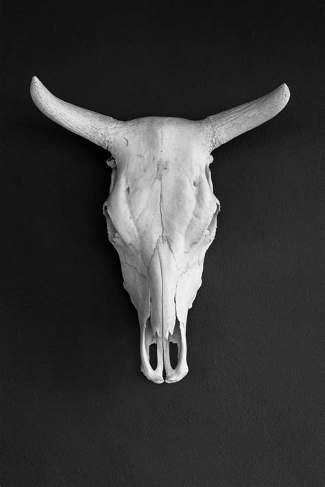 black and white fashion photograph white skull in marfa photograph thom jackson fine art