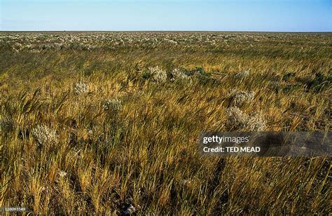 The Nullarbor Plain Is Part Of The Area Of Flat Almost Treeless Arid Or