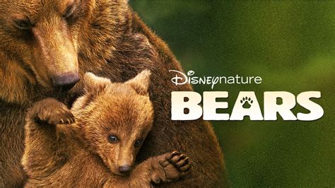 Kijk Disneynature Bears Volledige Film Disney