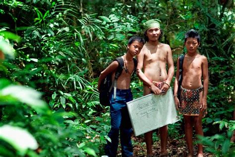 Pendidikan Bagi Suku Primitif Di Pedalaman Taman Nasional Bukit Dua Belas Imadiklus