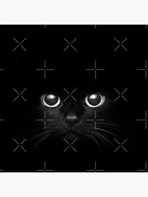 Cute Black Cat Face Poster For Sale By Alkyus Redbubble