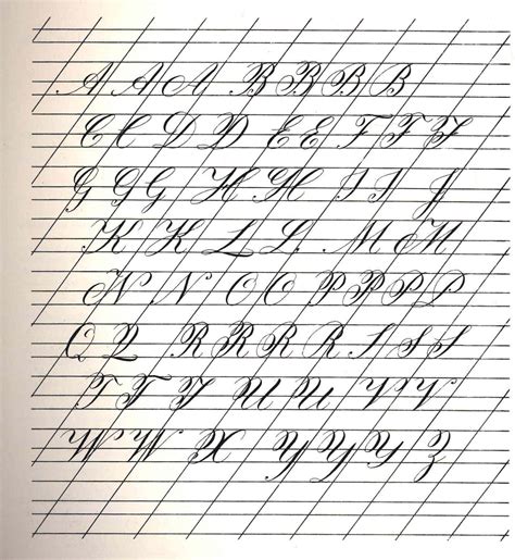 Calligraphy In The Copperplate Style Getting Started Basic Strokes