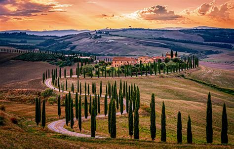 Wallpaper Road Italy Cypress Farmhouse Baccoleno Images For Desktop