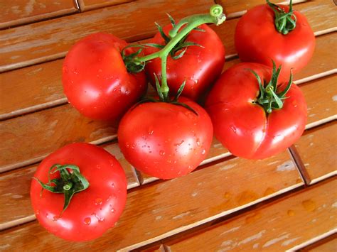 Fresh Tomatoes 4 Free Photo Download Freeimages