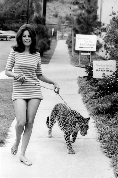Pictures Of Lana Wood