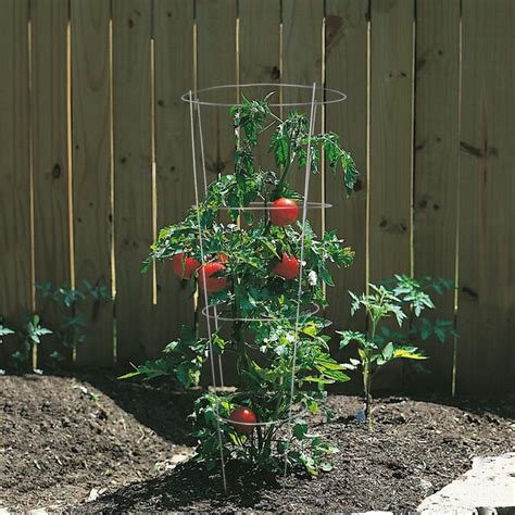 54 In Galvanized Steel Wire Round Tomato Cage In The Tomato Cages