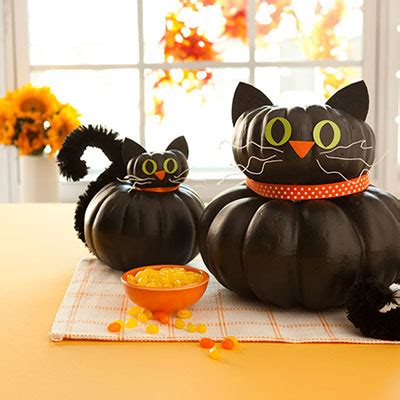 You grind pumpkin seeds and add to cat food. 25+ No Carve Pumpkin Ideas | NoBiggie
