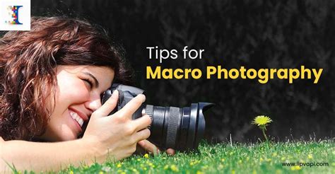 What Is Macro Photography A Complete Guide For Beginners