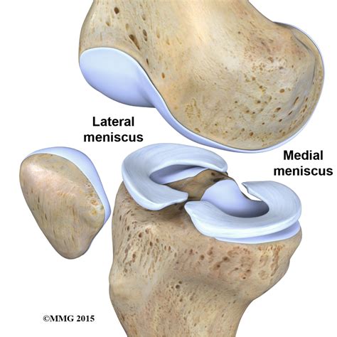 Physical Therapy In Conway For Knee Anatomy