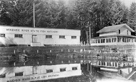 Leaburg Oregon | Old Leaburg Fish Hatchery. | curtis Irish | Flickr