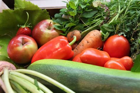 Summer Vegetable Gardening 10 Tips For A Healthy Hot