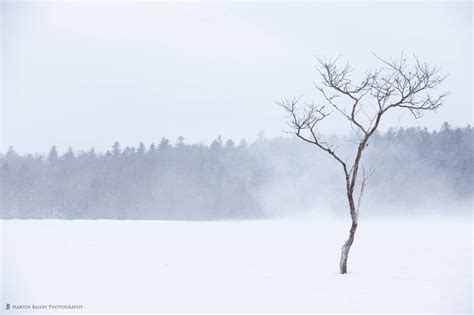 Winter Winds Martin Bailey Photography