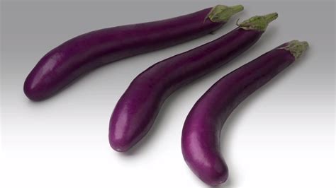 10 Types Of Eggplant