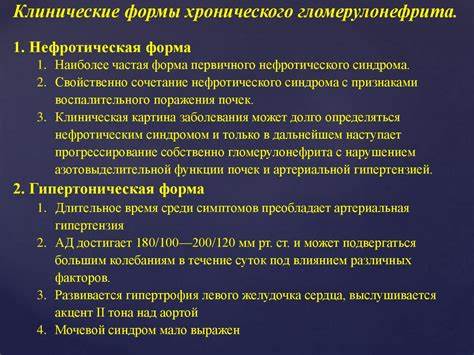 Диета хронический гломерулонефрит Гломерулонефрит - презентация онлайн Гломерулонефрит - презентация онлайн Диета хронический гломерулонефрит
