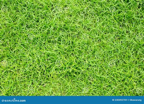 Green Grass Floor Texture Ideal For Use In The Design Backgroung Stock Image Image Of Spring